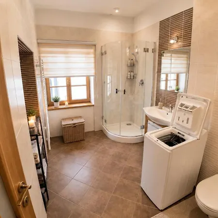 Your Own Historic Mansion, Gym And Basement Bar Semesterbostad