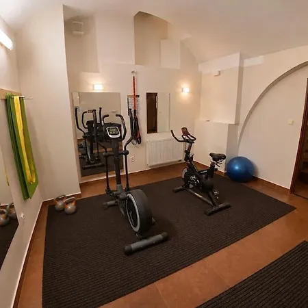 Semesterbostad Your Own Historic Mansion, Gym And Basement Bar